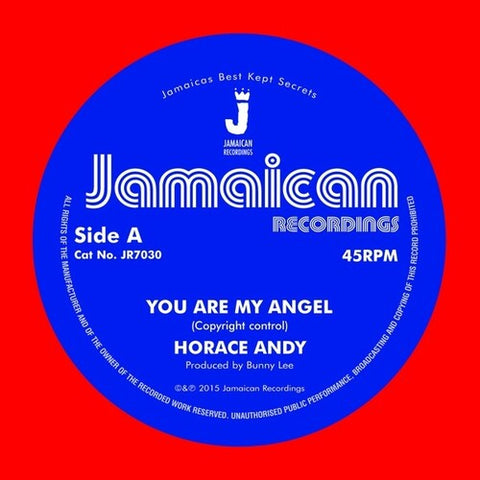 Horace Andy - You Are My Angel/Version (Vinyl LP)