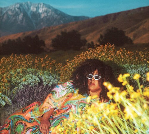 Brittany Howard - What Now (Vinyl LP)