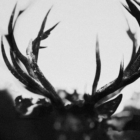 Ihsahn - IHSAHN - Black Yolk (Vinyl LP)