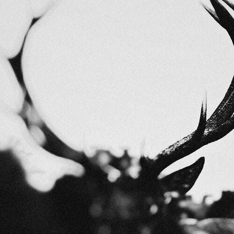 Ihsahn - IHSAHN (Orchestral Version) (Vinyl LP)