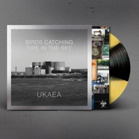 Ukaea - Birds Catching Fire In The Sky - Yellow & Black Vinyl (Vinyl LP)
