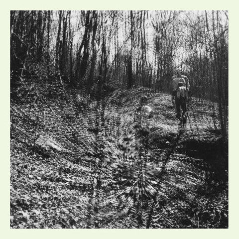 Topographies - Interior Spring (Vinyl LP)