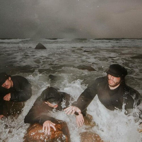 The Pons - The Liquid Self (Vinyl LP)