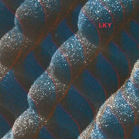 Lky - Symmetry Zone (Vinyl LP)