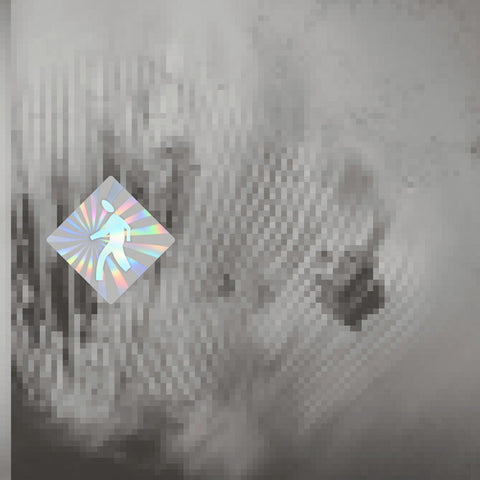Discovery Zone - Quantum Web [LP]