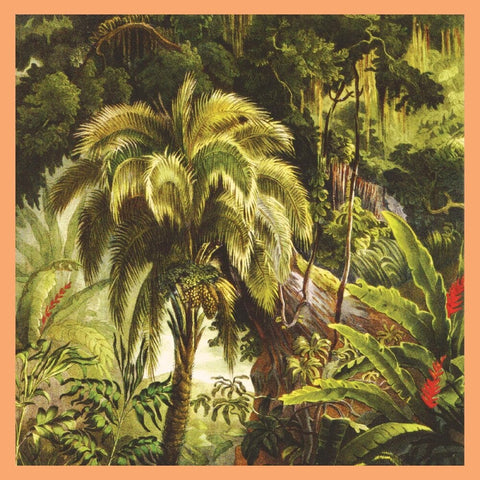 Xiu Xiu - La Foret [Colored Vinyl] (Uk)