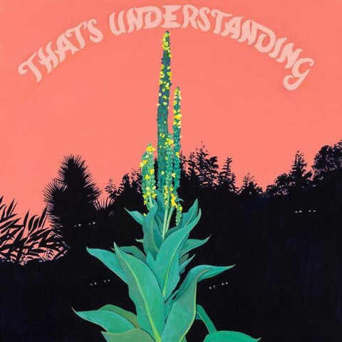 Village of Spaces - That's Understanding (Vinyl LP)
