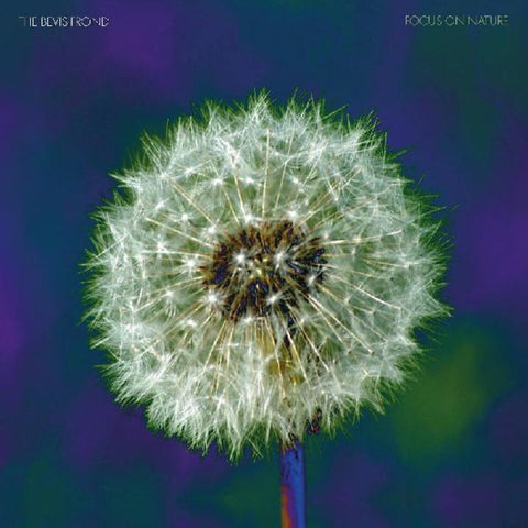 Bevis Frond - Focus On Nature [Colored Vinyl] (Purp) [Download Included]