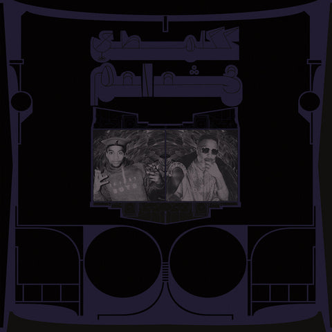 Shabazz Palaces - Exotic Birds Of Prey [Translucent White LP]
