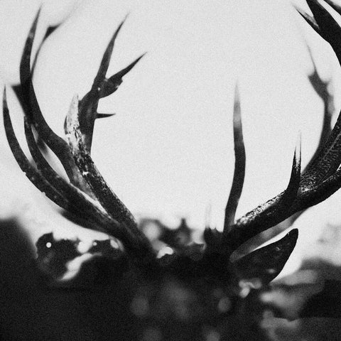 Ihsahn - Ihsahn [LP]
