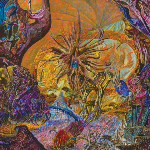 SlimeLord - Chytridiomycosis Relinquished - Orange/royal Blue [LP]