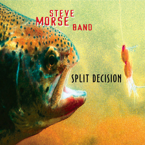 Steve Morse  Band - Split Decision [LP]