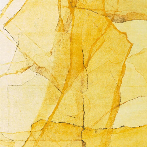 Wadada Smith  Leo / Myaers,Amina Claudine - Central Parks Mosaic Of Reservoir, Lake, Paths And [LP]