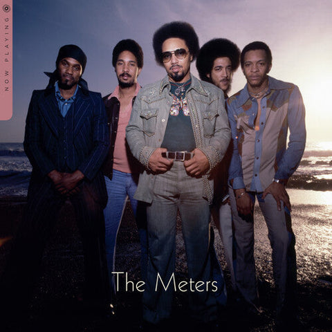 Meters - Now Playing (Vinyl LP)