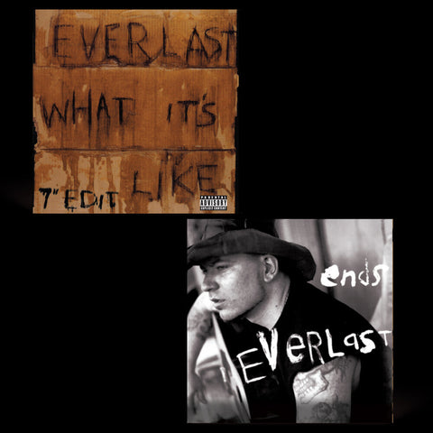 Everlast - What It's Like/Ends [7" Vinyl]