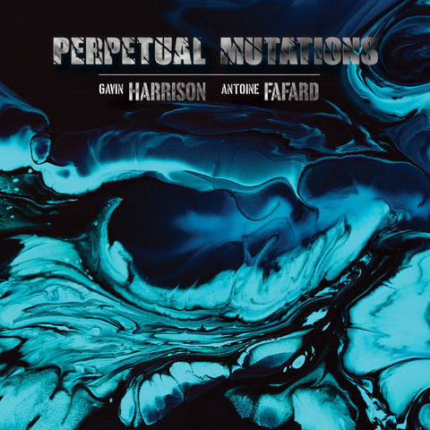 Gavin Harrison  / Fafard,Antoine - Perpetual Mutations (Gate) [LP]