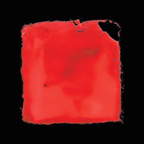 Salvia Palth - Last Chance To See [LP]