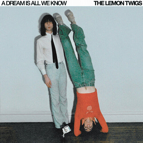 Lemon Twigs - Dream Is All We Know (Vinyl LP)