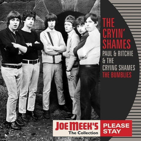 Cryin Shames - Please Stay [LP]