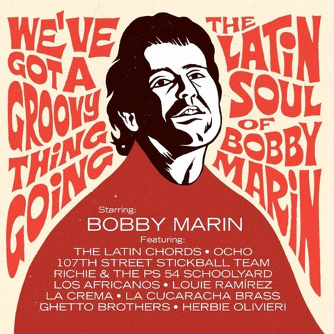 We've Got A Groovy Thing Going: Latin Soul / Var - We've Got A Groovy Thing Going: Latin Soul / Var [LP]
