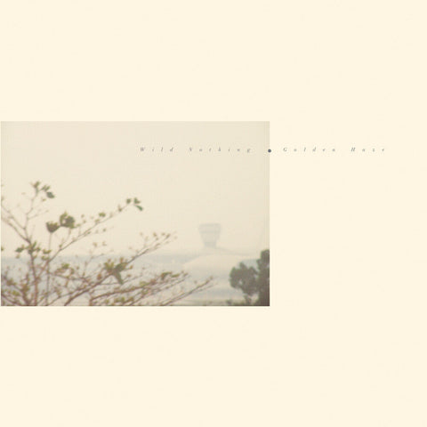 Wild Nothing - Golden Haze - Golden Haze [Colored Vinyl] (Gol)