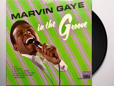 In The Groove [LP]