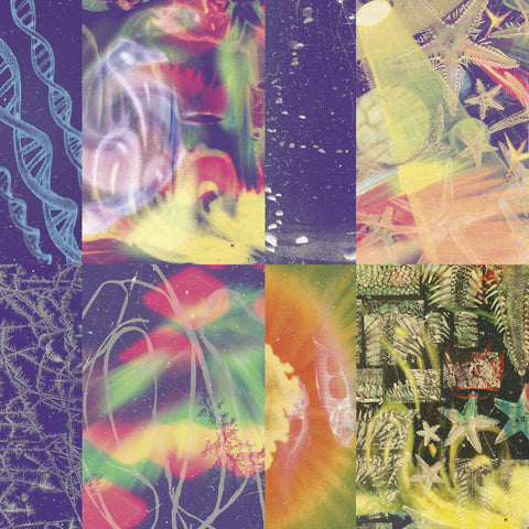 Nap Eyes - Neon Gate [LP]
