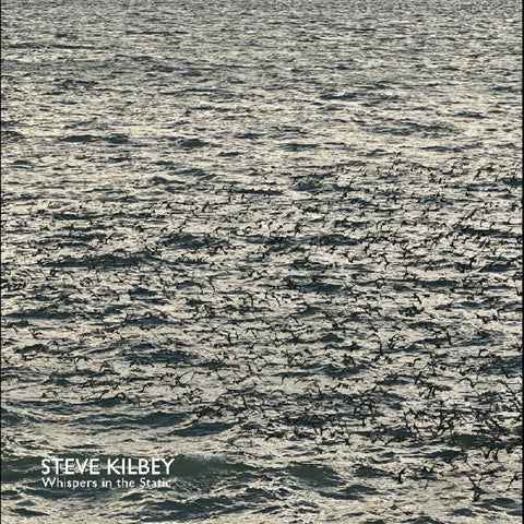 Steve Kilbey - Whispers In The Static [Colored Vinyl] (Gry)