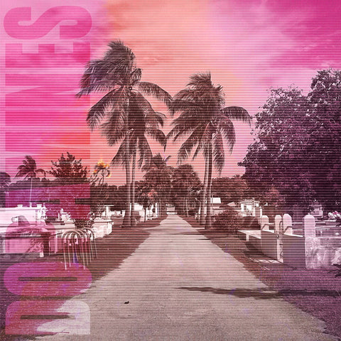 Dopamines - 80/20 [LP]