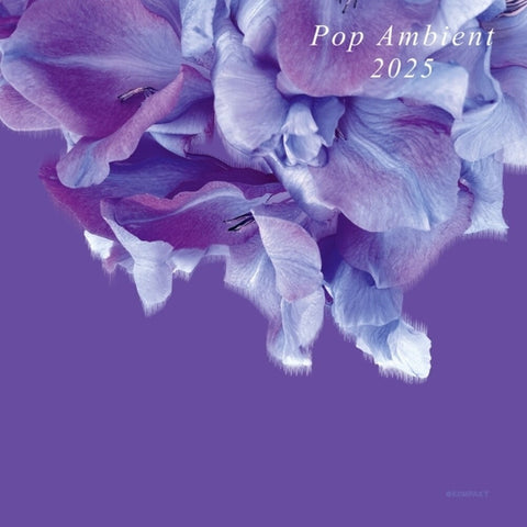 Pop Ambient 2025 / Various - Pop Ambient 2025 / Various [LP]