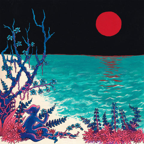 glass beach - the first glass beach album [Import Clear LP]