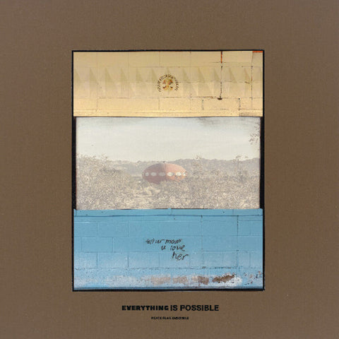 Peace Flag Ensemble - Everything Is Possible [LP]
