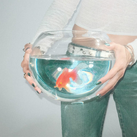 fish narc - Frog Song [LP]
