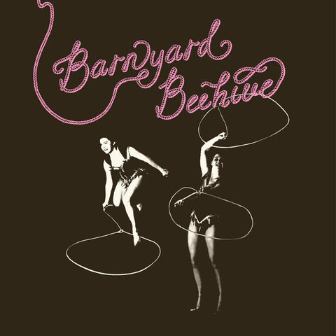 Various Artists - Barnyard Beehive (Pnk) [LP]