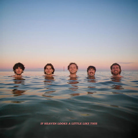 Delights - If Heaven Looks A Little Like This [Colored Vinyl] (Org)