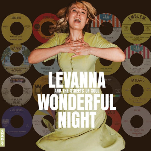 Wonderful Night Curated by Levanna / Various - Wonderful Night Curated By Levanna / Various [LP]