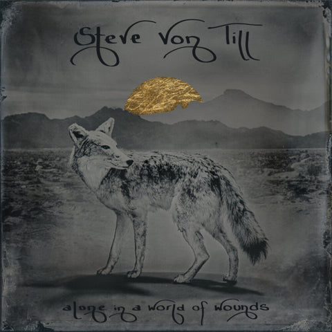 Von Till, Steve - Alone In A World Of Wounds [LP]