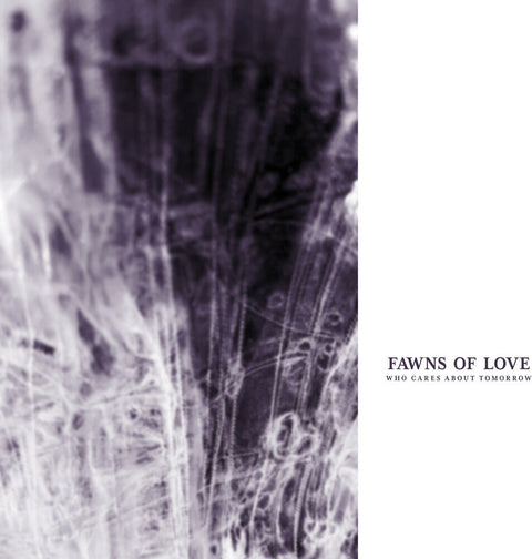 Fawns of Love - Who Cares About Tomorrow [Remastered]