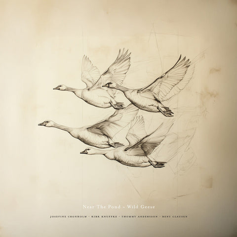 Near The Pond - Wild Geese [LP]