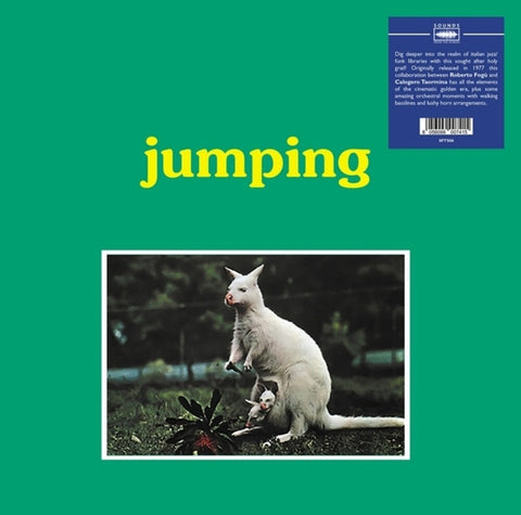 Roberto Fogu  / Calogero Taormina - Jumping [LP]