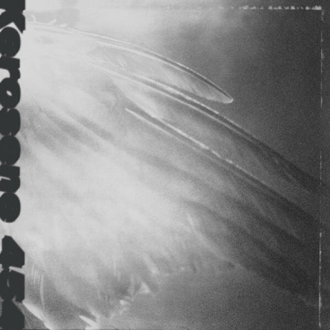 Kerosene 454 - Came By To Kill Me [LP]