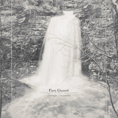 Joseph Decosimo - Fiery Gizzard [LP]