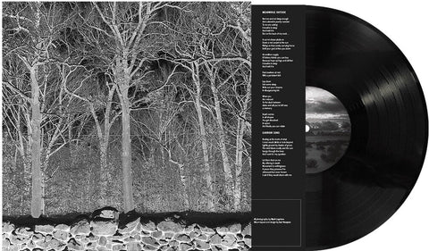 Pile - Sunshine & Balance Beams [LP]