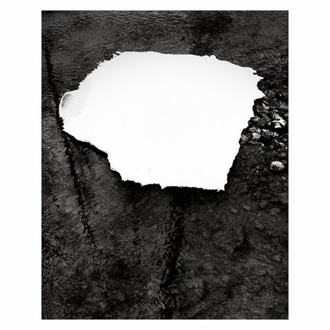 Zelienople - Everything Is Simple [LP]