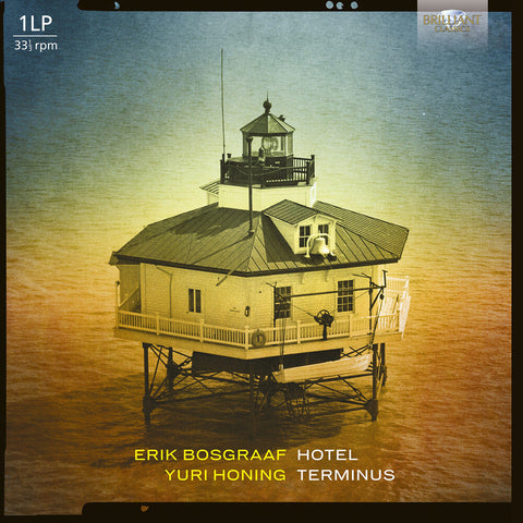 Erik Bosgraaf - Hotel Teminus [LP]