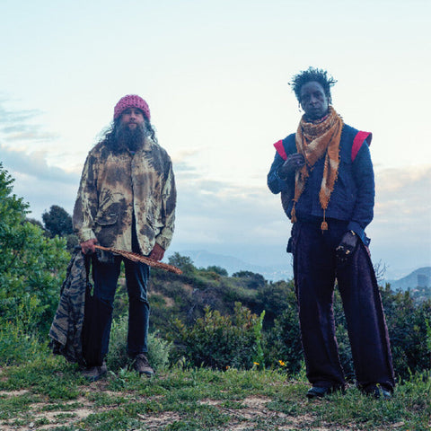 Saul Williams  / Nino,Carlos - Saul Williams Meets Carlos Nino & Friends At (Grn) [LP]