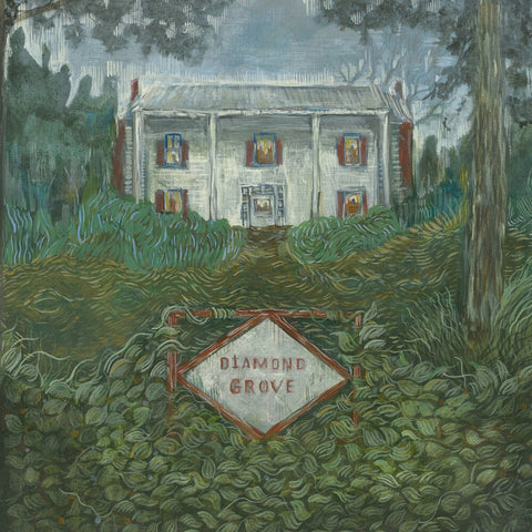 Weirs - Diamond Grove [LP]