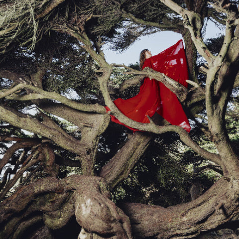 Hannah Frances - Nested In Tangles [Colored Vinyl] (Red)