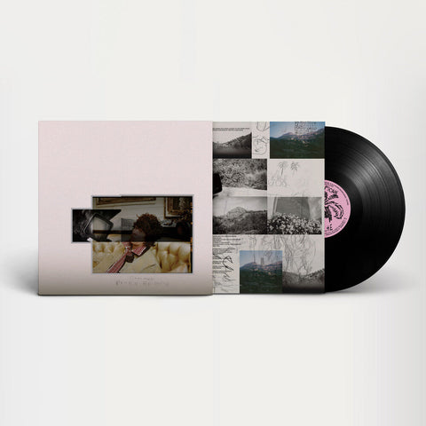 Fionn Regan - O Avalanche [LP]