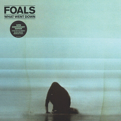 Foals - What Went Down (Anniversary Edition)